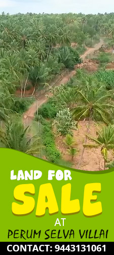 2.70 Acres Agricultural Land near Government Medical College - Nagercoil